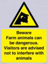 beware-farm-animals-can-be-dangerous-visitors-are-advised-not-to-interfere-with-~